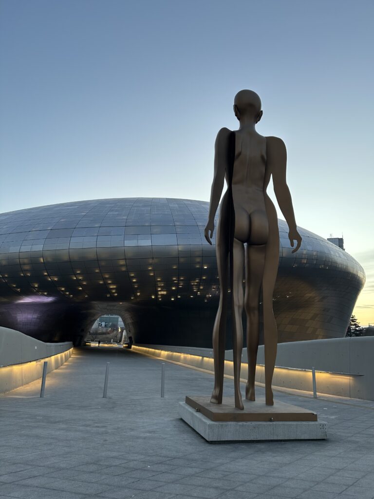 早朝のDDPの画像