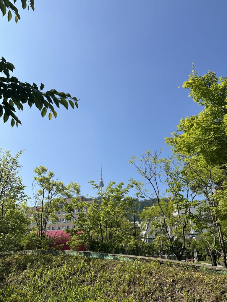 南山芸場公園の風景の画像